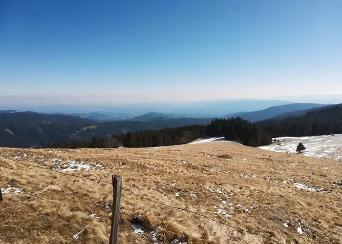 度假居 Beim Michl In Mauthnereck